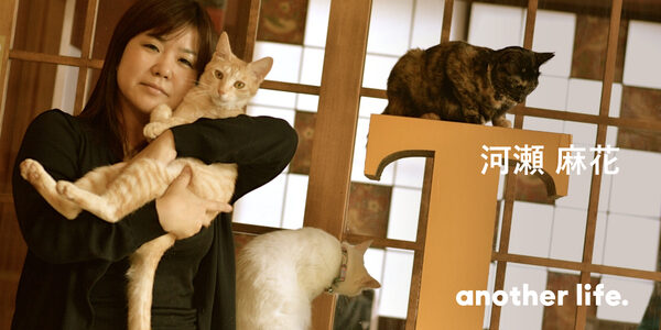 猫の殺処分ゼロの社会を！自走できる保護猫カフェの仕組み。の画像